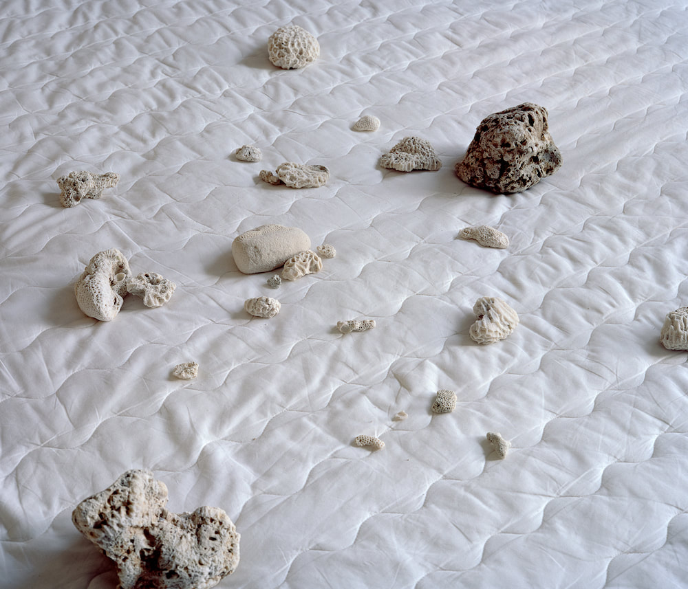 Peng Ke, Sleeping Corals, 2014 (Shenzhen)