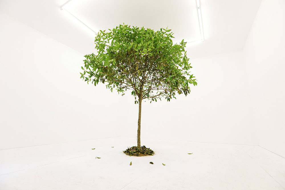 Installation view of John Yuyi’s new work titled “I Tree to Call You” at Gallery Vacancy.