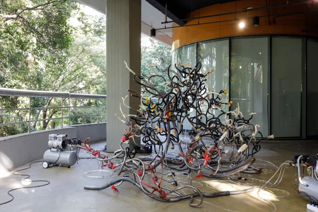 Ni Hao, Structure V, Gwangju Biennale, 2018